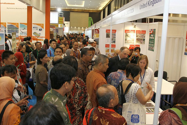 ӡżӴչINDO LIVESTOCK1.jpg