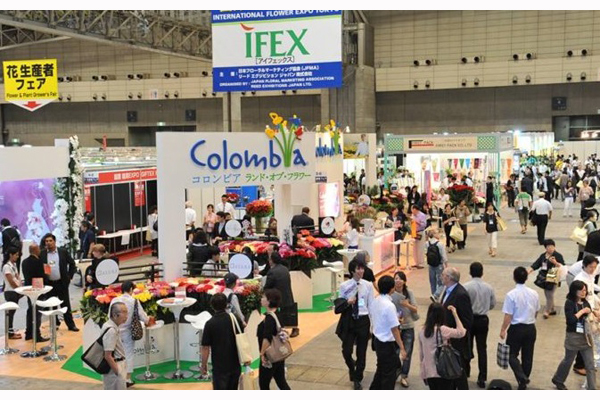 1700625975453231.jpg 日本东京花卉园艺展览会IFEX3.jpg