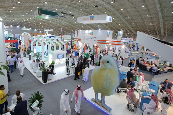 ɳŵýչSaudi Build1.jpg